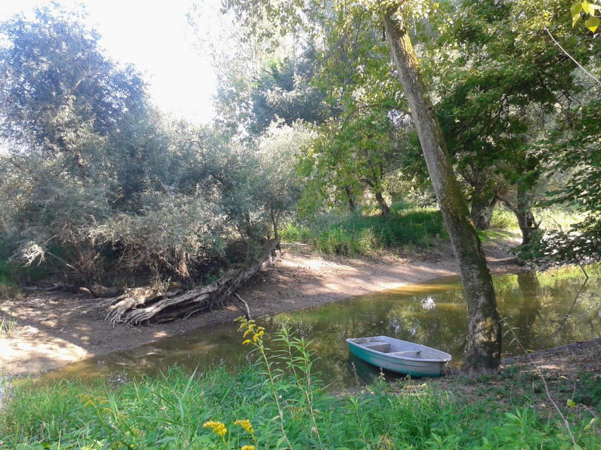 70Qm Wohnung, 76771 Hoerdt, Naturschutzgebiet, Rheinland-Pfalz Hordt Esterno foto