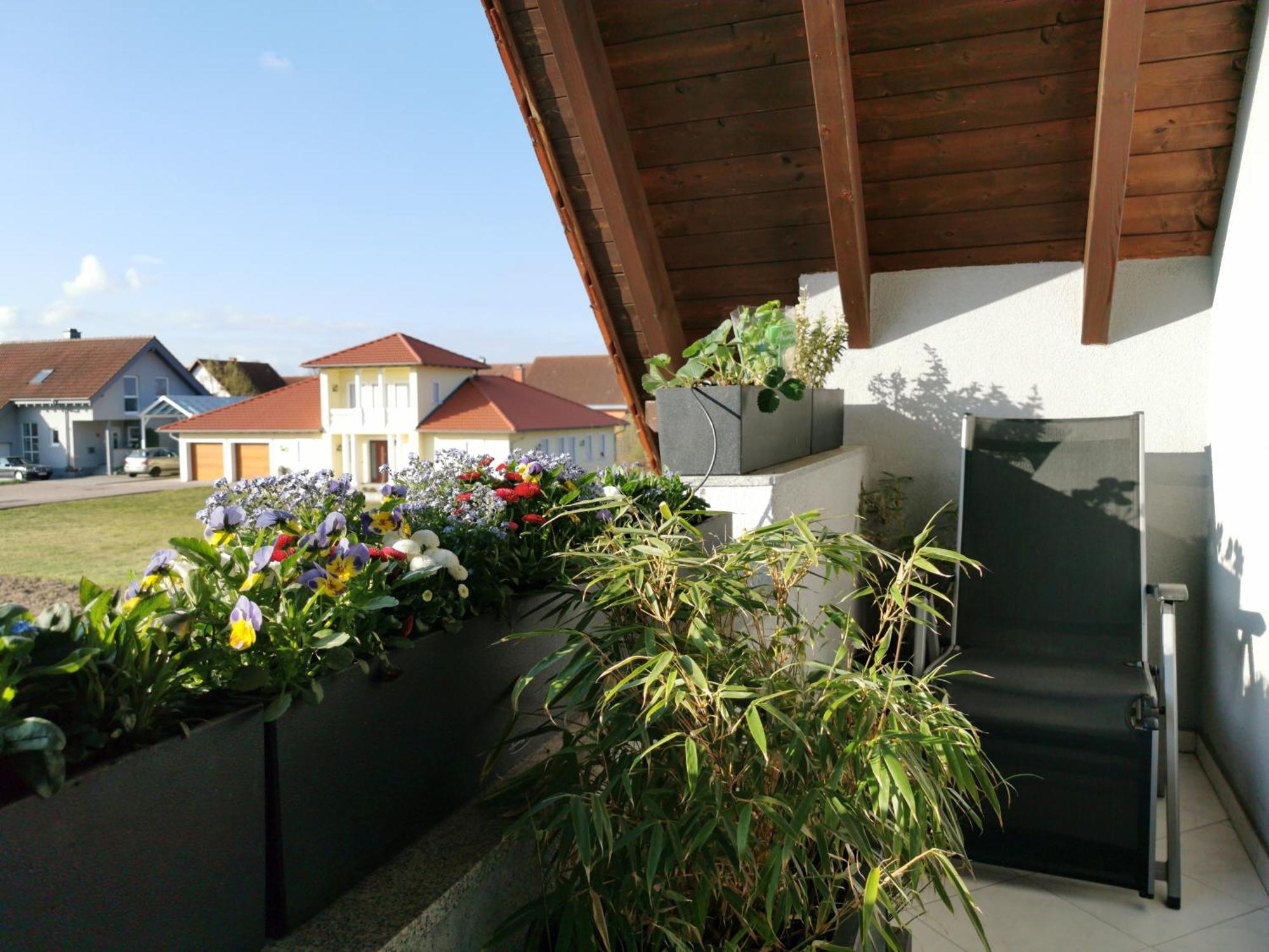 70Qm Wohnung, 76771 Hoerdt, Naturschutzgebiet, Rheinland-Pfalz Hordt Esterno foto